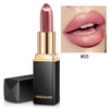 Waterproof Long Lasting Pigment Lipstick