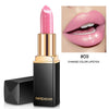 Waterproof Long Lasting Pigment Lipstick